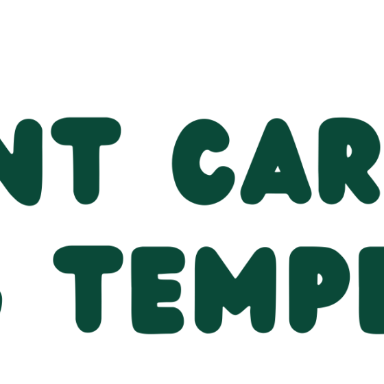 Plant Care in Freezing Temperatures