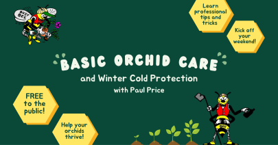 Event Graphics - Website