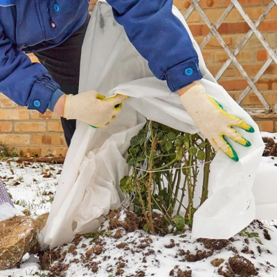 Frost Proofing Your Garden - December 12, 2021