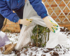 Frost Proofing Your Garden - December 12, 2021
