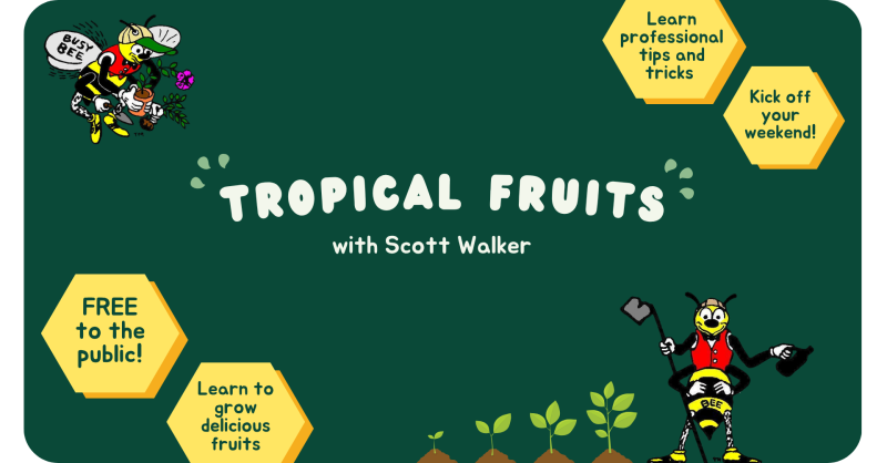 Tropical Fruits Website