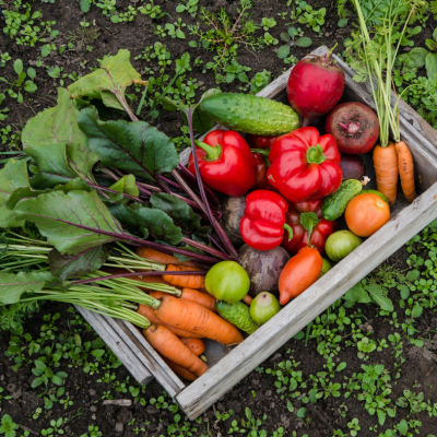 Vegetable Gardening Seminar - October 9th, 2021