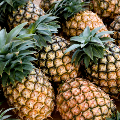  Tropical Fruit